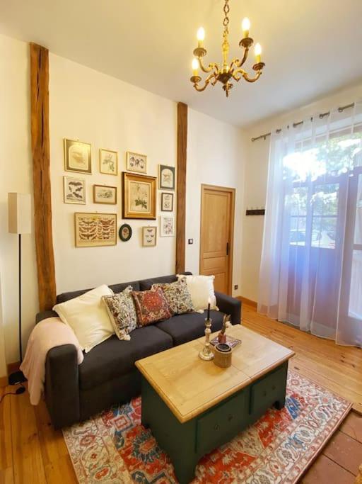 Cocon Cosy Dans La Ville Rose Toulouse Exterior foto