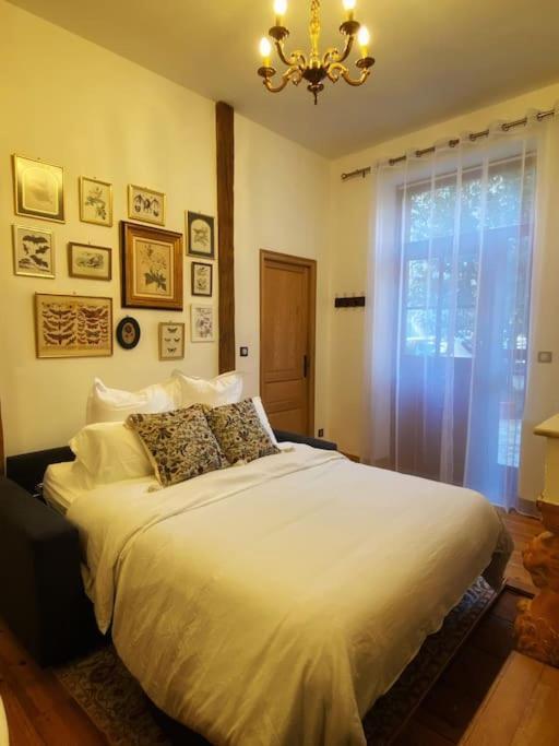 Cocon Cosy Dans La Ville Rose Toulouse Exterior foto
